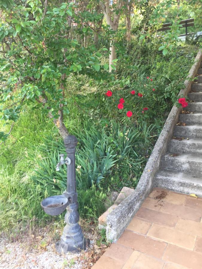 Green B&B Urbino Ca Del Vento Exterior photo